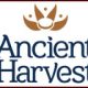 Ancient-Harvest